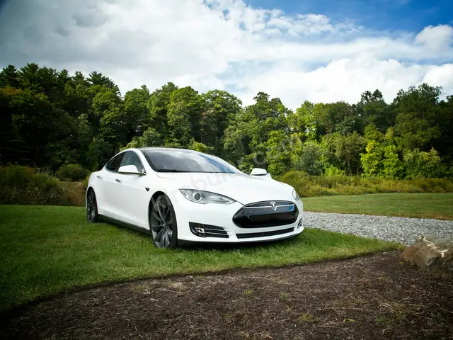2016 Tesla Model S Titanium — Masrafsız — fotoğraf 2