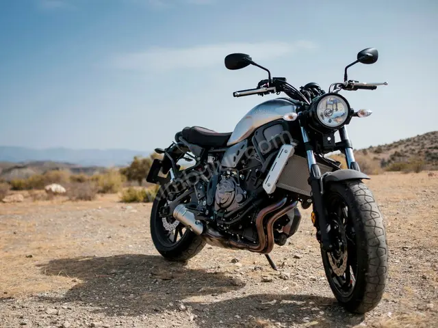 2023 Suzuki — Masrafsız