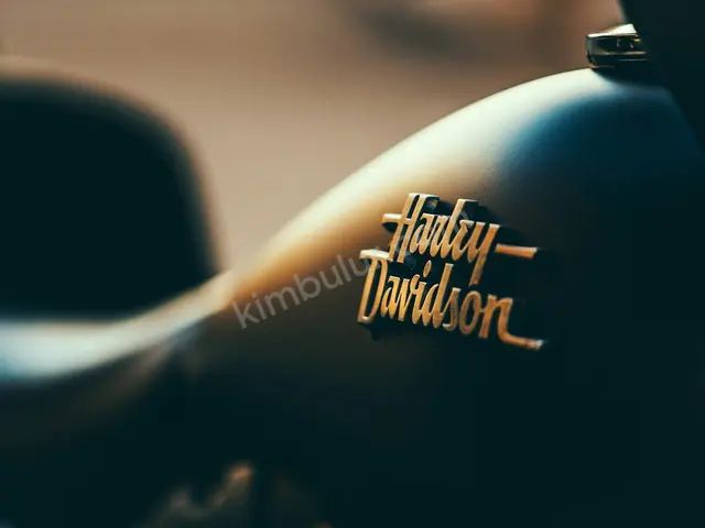2017 SYM — Tramer Kaydı Düşük