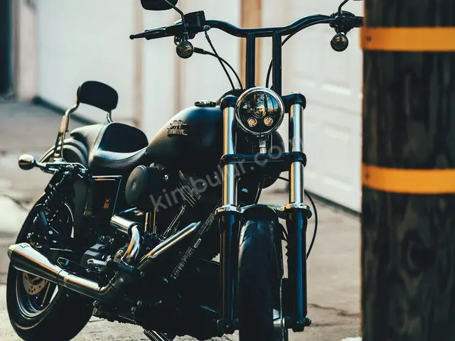 2020 Triumph — Az Yakan — fotoğraf 3