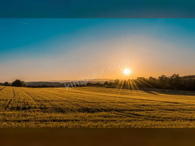Nurdağı 15.850 m² Satılık Konut İmarlı Arsa