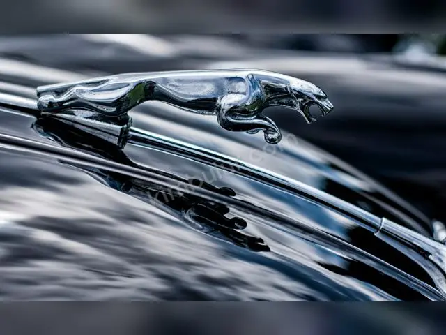 2016 Jaguar F-Type Comfort — Garaj Aracı — fotoğraf 2