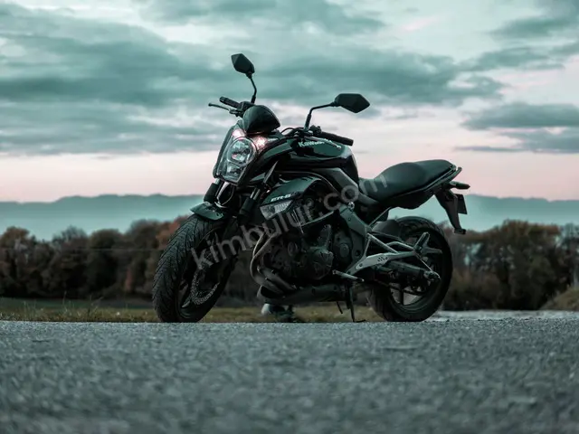 2010 Suzuki — Az Yakan — fotoğraf 2