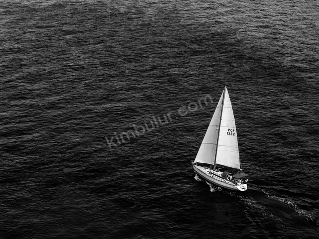 Satılık Sürat Teknesi · İnegöl — 2024 Model, 13 m — fotoğraf 3