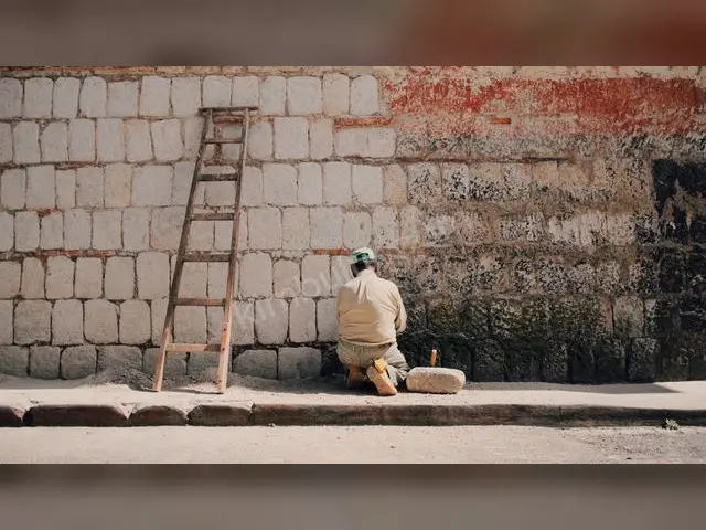 Merkez Bahçe Bakımı Hizmeti — Garantili İşçilik — fotoğraf 3