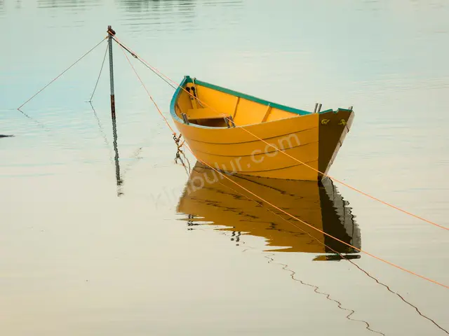 Satılık Motoryat · Canik — 2008 Model, 9 m — fotoğraf 2