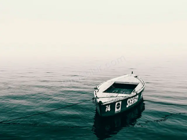 Satılık Şişme Bot & RIB · Saray — 2014 Model, 20 m — fotoğraf 2