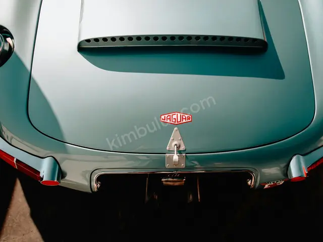 2022 Jaguar XE Elite — Tramer Kaydı Düşük — fotoğraf 2