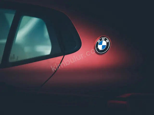 2011 BMW X2 Executive — İlk Elden — fotoğraf 3