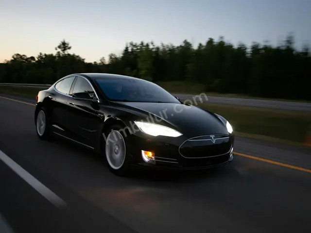2017 Tesla Model 3 Elite — Değişensiz