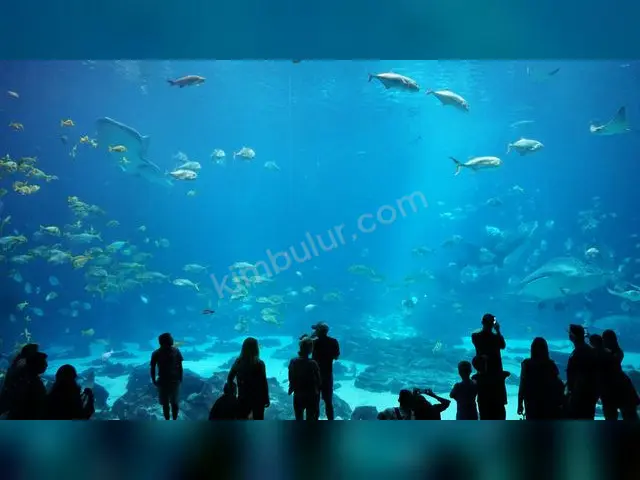 Karides & Salyangoz · Tuşba — 1-3 Yaş, Dişi — fotoğraf 3