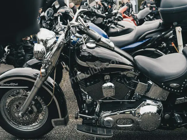 2018 Mondial — Az Yakan — fotoğraf 3
