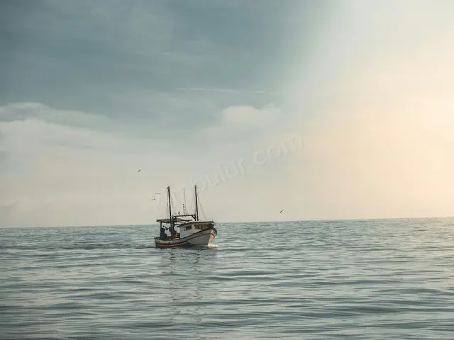 Satılık Jet Ski · Bandırma — 2002 Model, 5 m — fotoğraf 3