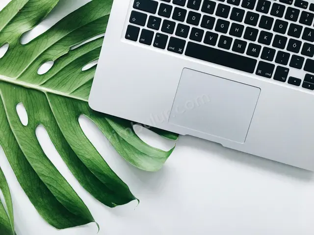 Diğer Marka Dizüstü Bilgisayarlar · Çorlu — Sıfır, 32 GB RAM, 2 TB ve üzeri — fotoğraf 2
