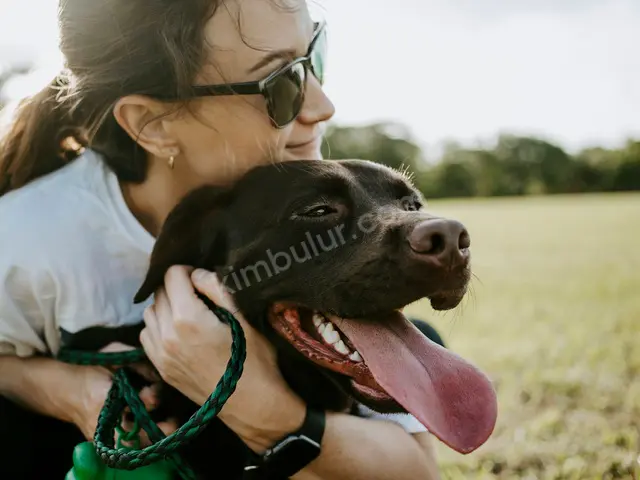 Köpek Ürünleri · Siverek — Faturalı — fotoğraf 3