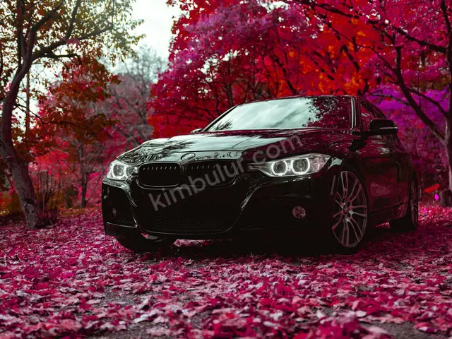 2020 BMW 5 Serisi Comfort — Masrafsız