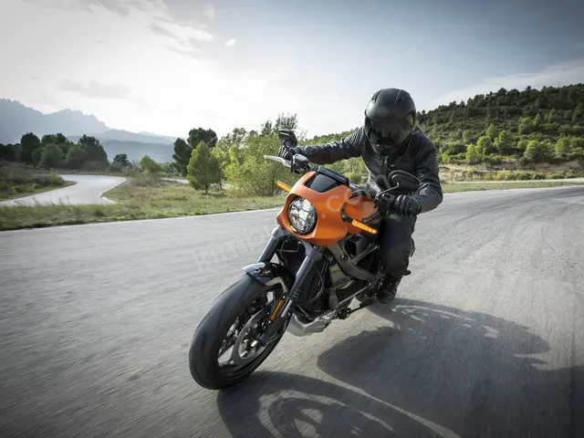 2010 Suzuki — Az Yakan