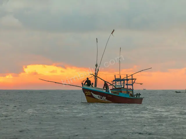 Kiralık Tekne & Yat — 2017 Model, 14 m — fotoğraf 2
