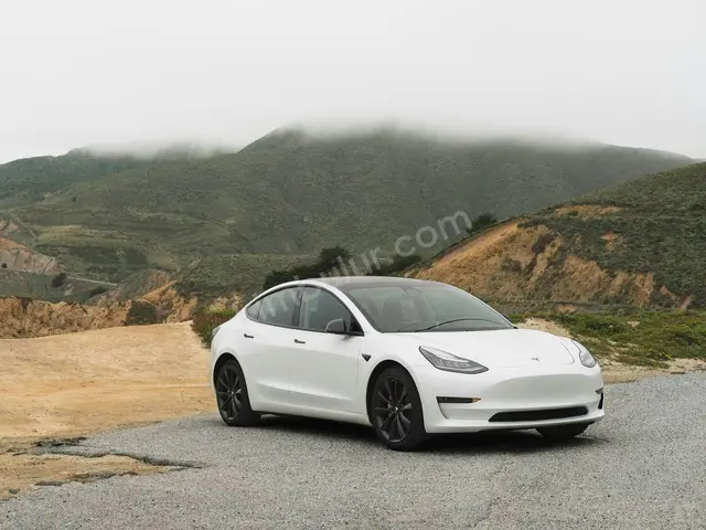2020 Tesla Model 3 Design — Az Yakan — fotoğraf 2