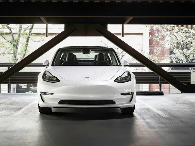 2017 Tesla Model 3 Elite — Değişensiz — fotoğraf 2