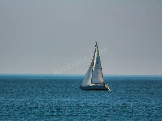 Satılık Sürat Teknesi · Bayraklı — 2019 Model, 5 m — fotoğraf 2