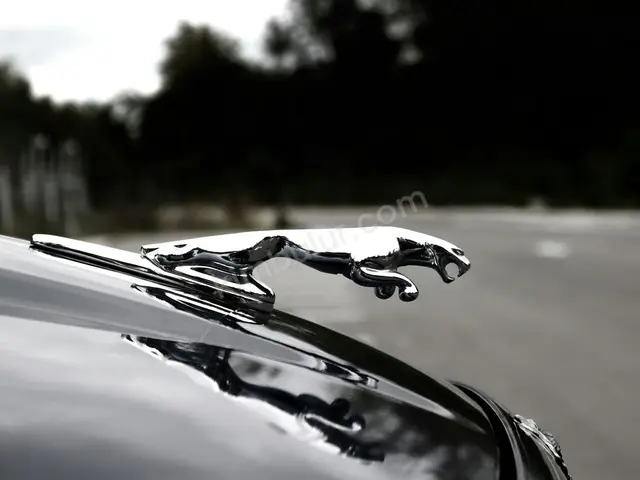 2014 Jaguar F-Type Executive — İlk Elden — fotoğraf 2