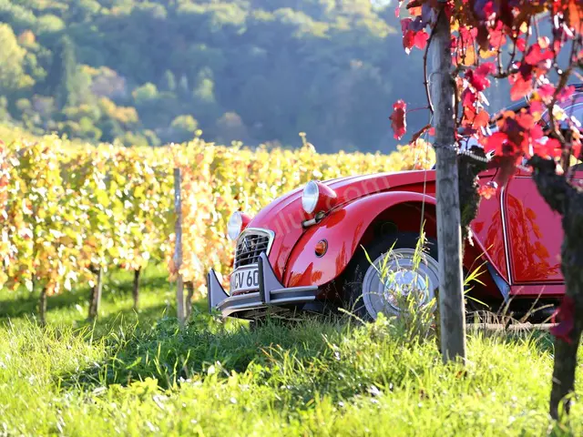 2013 Citroën Premium — Az Yakan — fotoğraf 2
