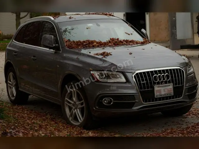 2022 Audi Q8 Elite — Garaj Aracı — fotoğraf 3