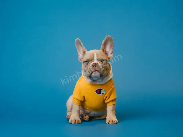 Köpek Ürünleri · Siverek — Faturalı