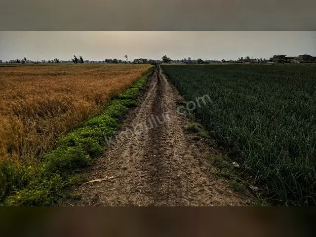 Viranşehir 18.500 m² Satılık Konut İmarlı Arsa — fotoğraf 3