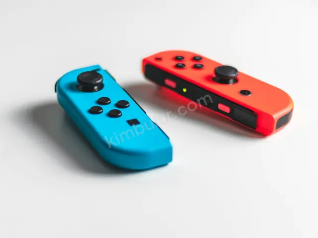 Gamepad & Aksesuar · Ceyhan — Arızalı / Parça, Kusursuz — fotoğraf 4