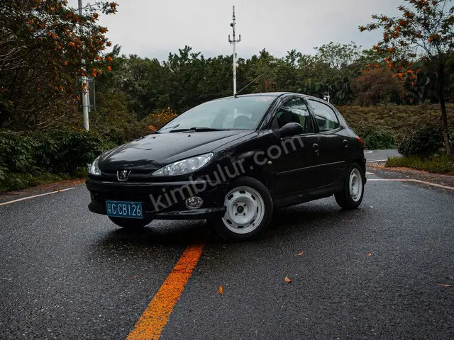 2016 Peugeot Design — İlk Elden