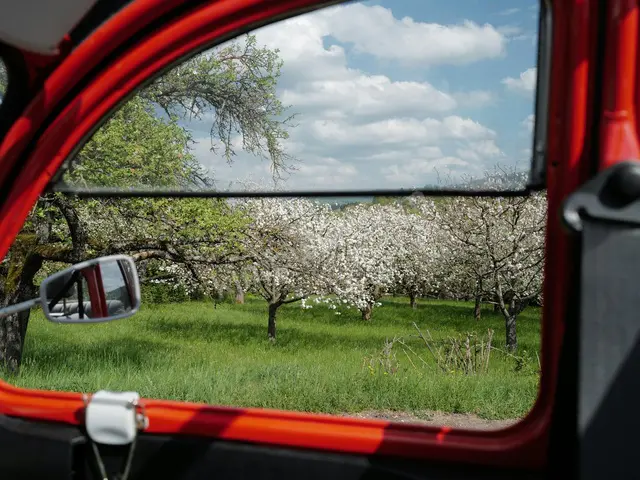 2011 Citroën C5 Style — Bakımları Yeni — fotoğraf 3