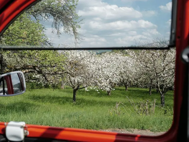 2018 Citroën C3 Aircross Elite — Masrafsız — fotoğraf 2