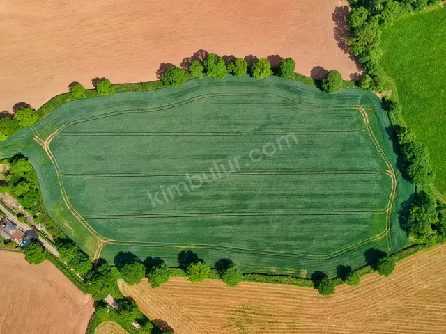 Alanya 9.350 m² Satılık Ticari İmarlı Arsa — fotoğraf 2