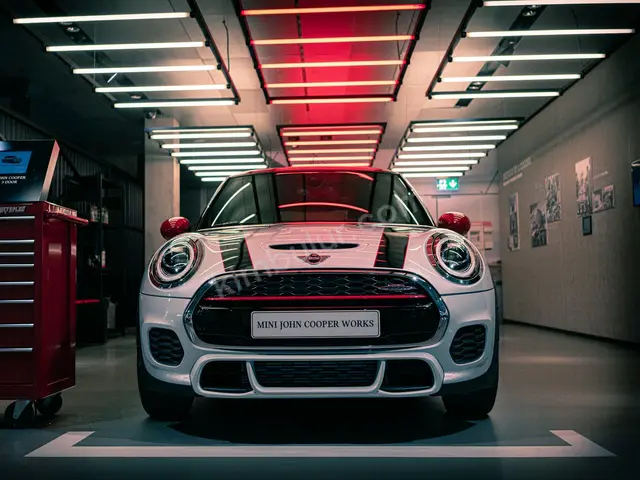 2010 MINI Cooper Elite — Garaj Aracı