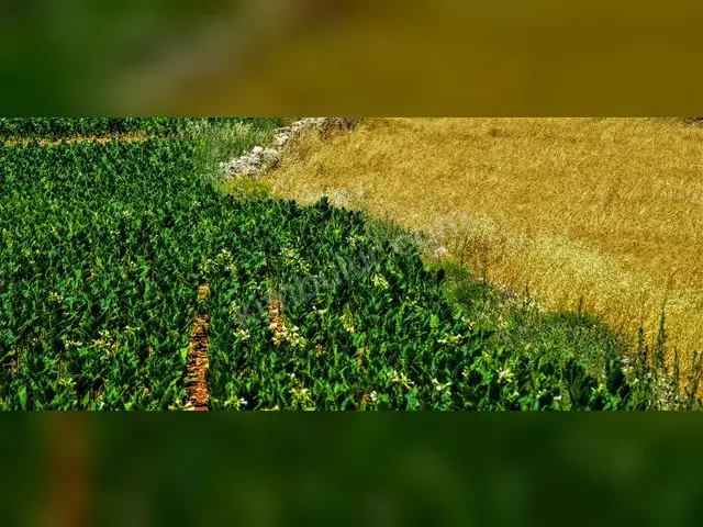 Nurdağı 15.850 m² Satılık Konut İmarlı Arsa — fotoğraf 2
