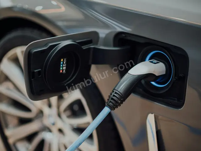 2020 Diğer Markalar Prestige — Tramer Kaydı Düşük — fotoğraf 2