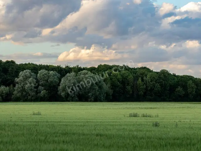 Nurdağı 15.850 m² Satılık Konut İmarlı Arsa — fotoğraf 3