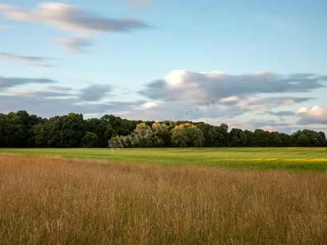 Küçükçekmece 19.400 m² Satılık Konut İmarlı Arsa