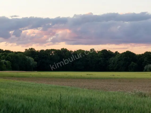 Küçükçekmece 16.550 m² Kiralık Konut İmarlı Arsa — fotoğraf 2