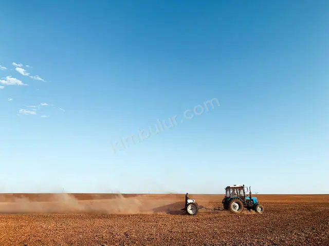2016 Model Tarım Römorku — 13.050 Saat — fotoğraf 2