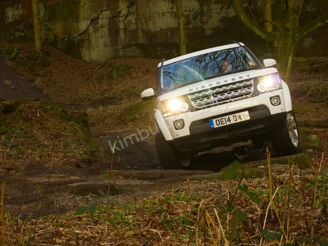 2015 Land Rover Discovery Elite — Masrafsız — fotoğraf 2