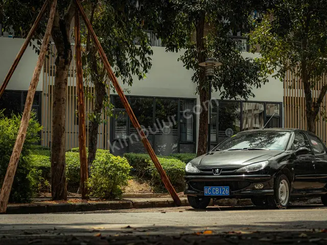 2022 Peugeot Premium — Bakımları Yeni