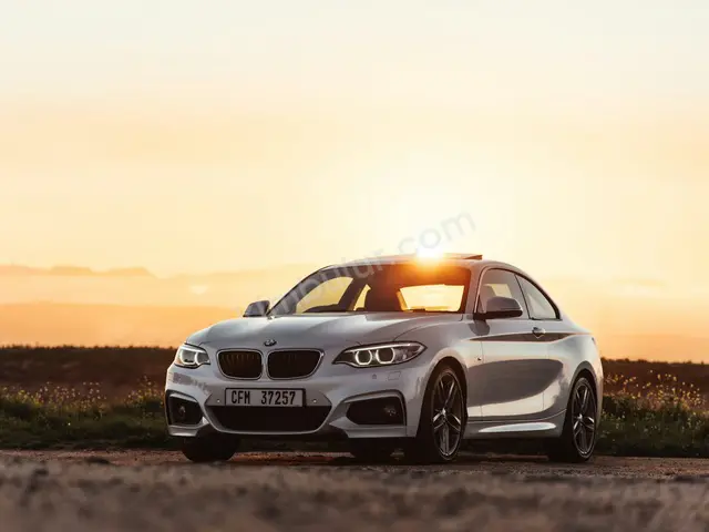 2016 BMW X4 Elite — Az Yakan — fotoğraf 2