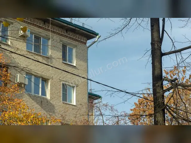Adapazarı Geniş Devren Kiralık Oto Yıkama & Bakım — fotoğraf 4