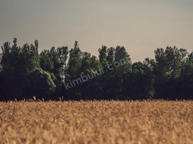 Yenişehir 14.300 m² Satılık Ticari İmarlı Arsa — fotoğraf 2