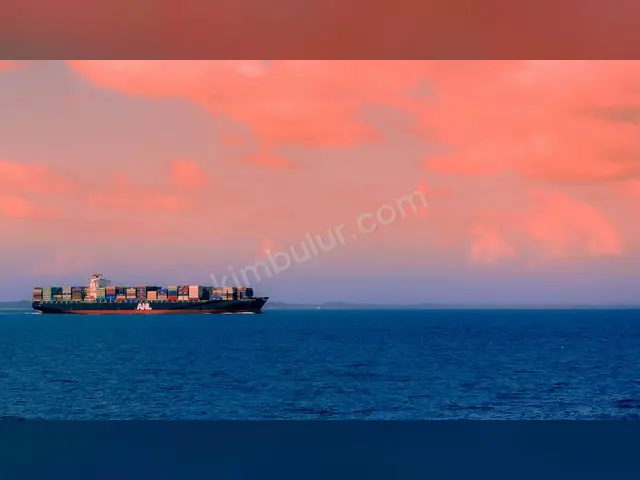 Haliliye Konteyner & Prefabrik Yapı — Yenilenmiş, Faturalı — fotoğraf 2