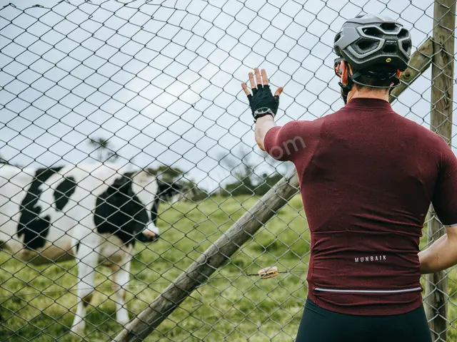 Takım Sporları · Esenyurt — Sıfır, Tüm Aksesuarlarıyla — fotoğraf 4