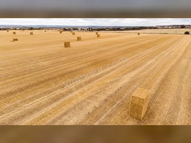 Sarıçam 19.350 m² Satılık Bağ & Bahçe — fotoğraf 2